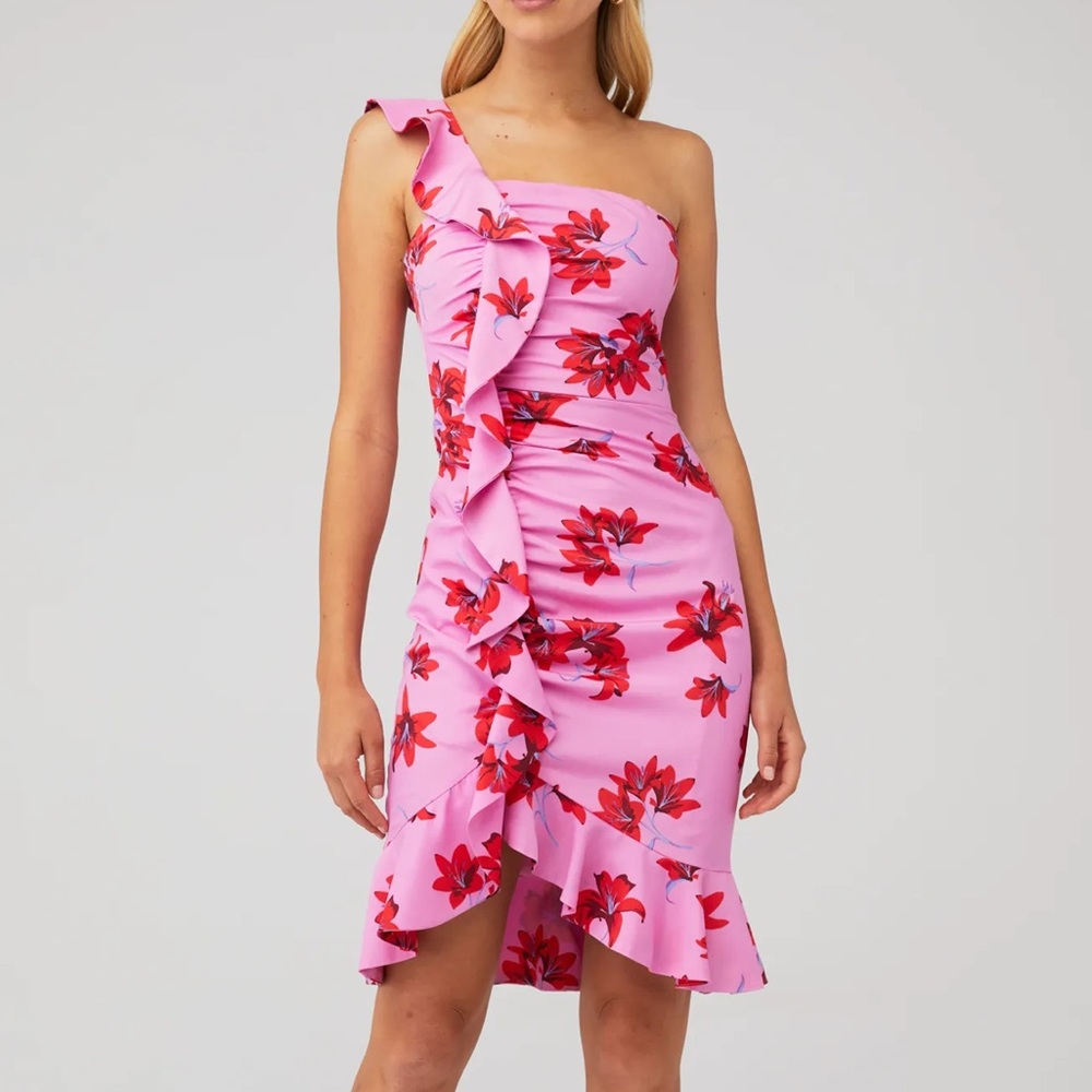 LIKELY LOIS DRESS